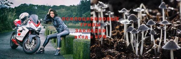 мяу мяу мука Майский